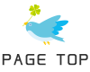 PAGE TOP